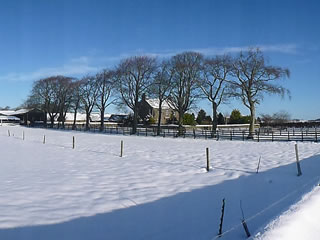 Kingston Farm - Winter